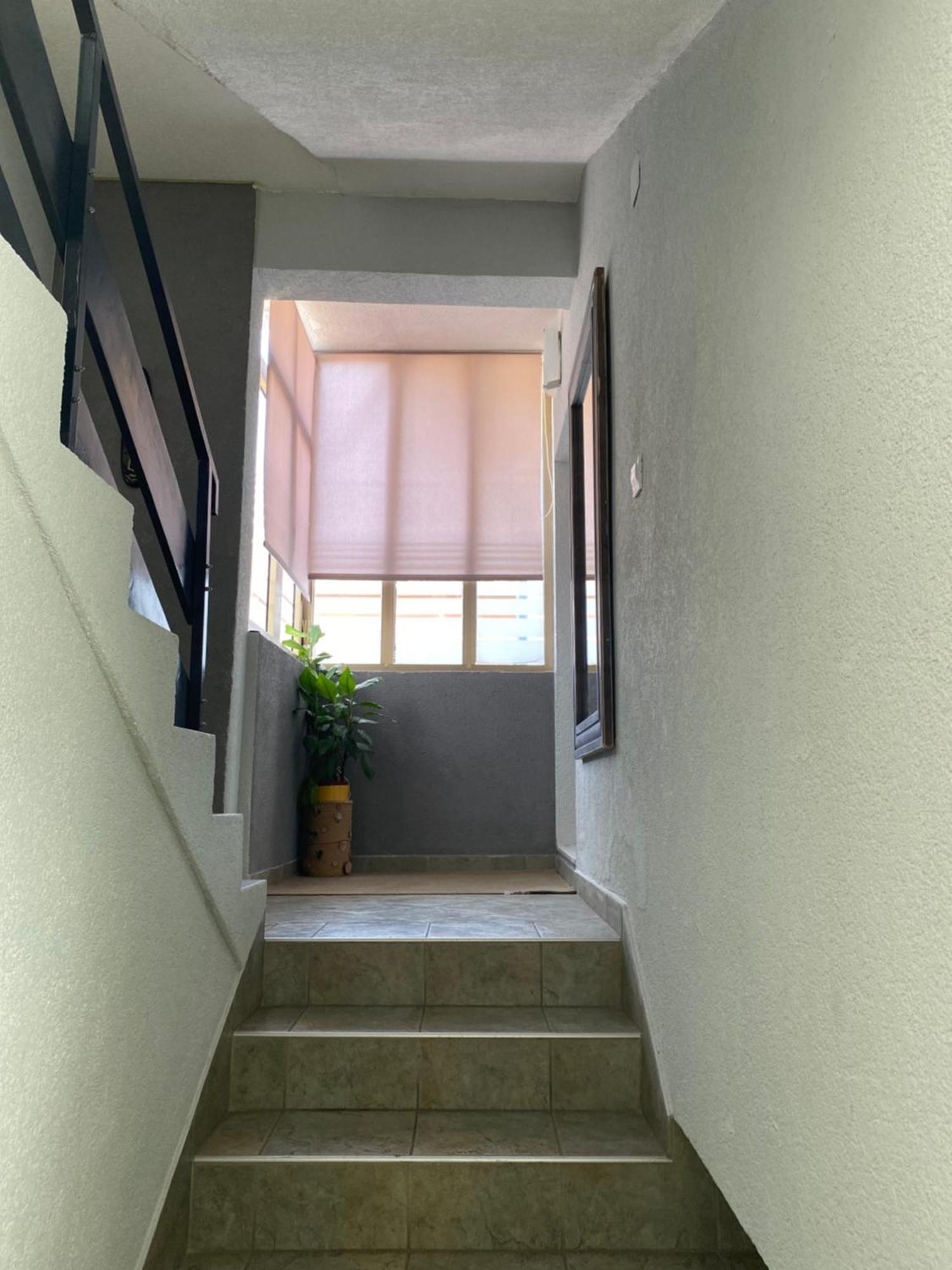 Apartment Vito Zadar